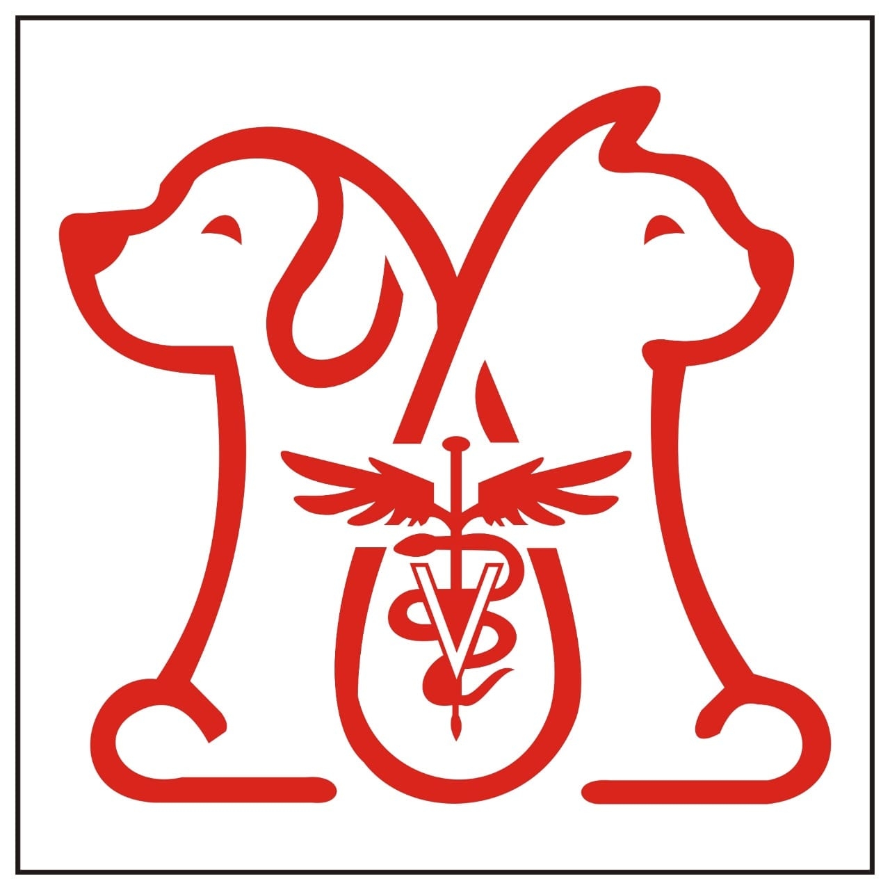 Hasbi Pet Clinic